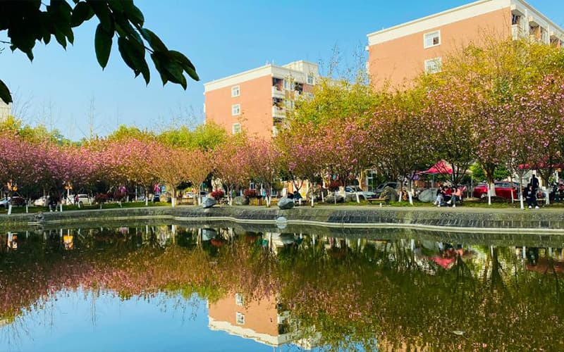 四川电影电视学院_校园风光_学校景色
