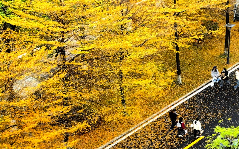 漳州城市职业学院_校园风光_学校景色