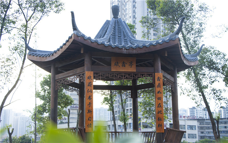 重庆电讯职业学院_校园风光_学校景色