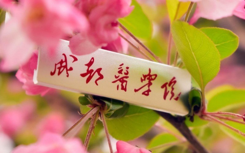成都医学院_校园风光_学校景色