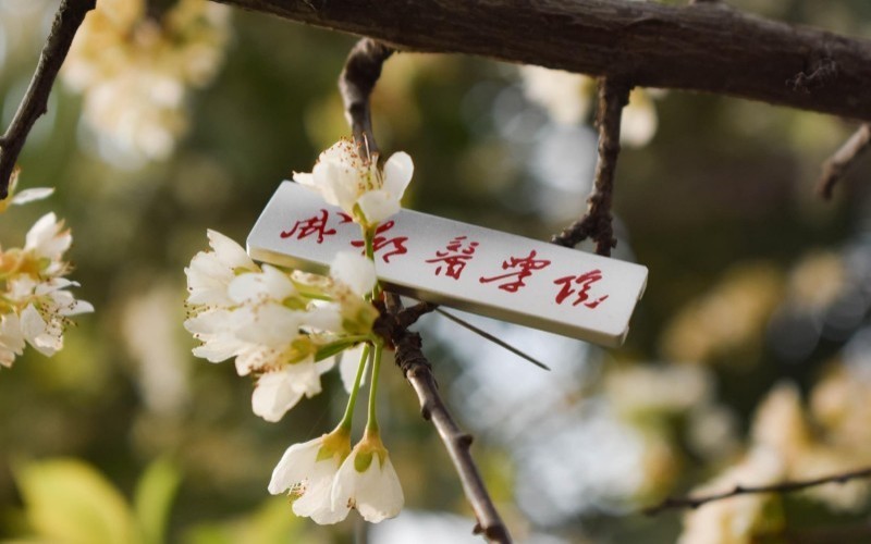 成都医学院_校园风光_学校景色