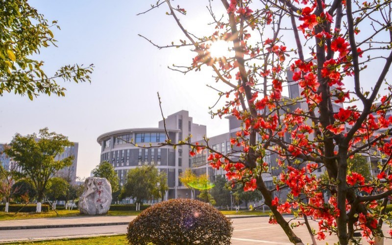成都医学院_校园风光_学校景色