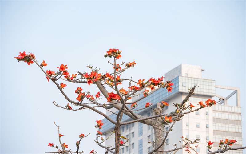 海南大学_校园风光_学校景色