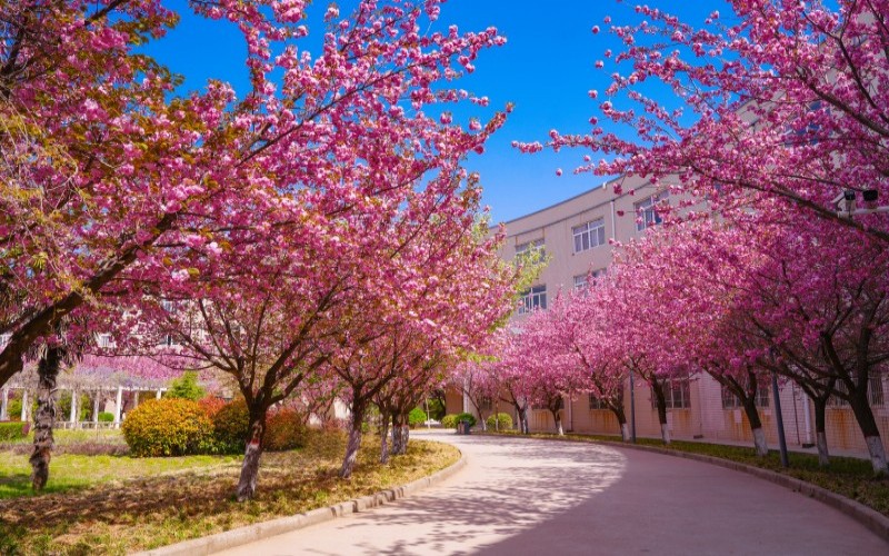 西安财经大学行知学院_校园风光_学校景色