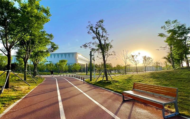 聊城大学东昌学院_校园风光_学校景色