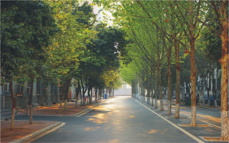 郑州黄河护理职业学院_校园风光_学校景色