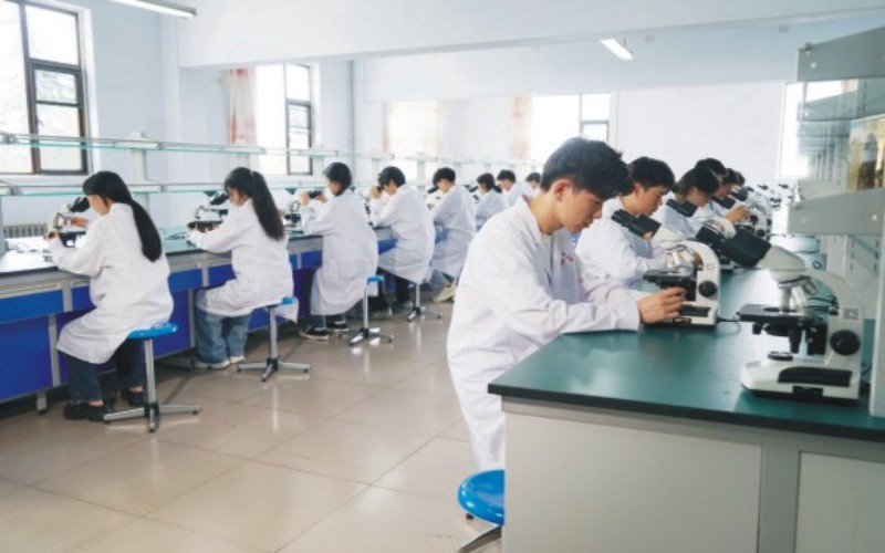 郑州黄河护理职业学院_校园风光_学校景色