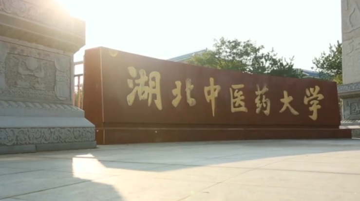 湖北中医药大学_主图