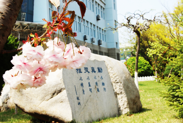 青岛酒店管理职业技术学院_主图