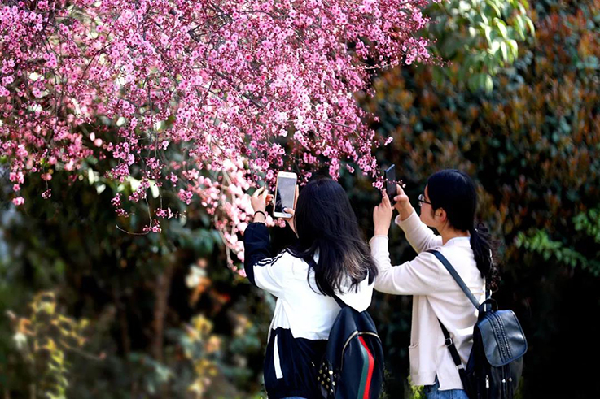 咸阳师范学院_主图