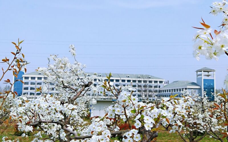 宿州职业技术学院_主图