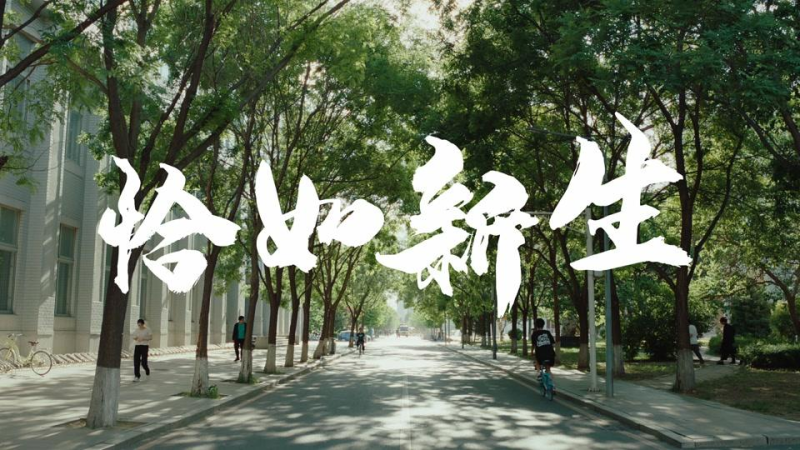 东北大学_主图