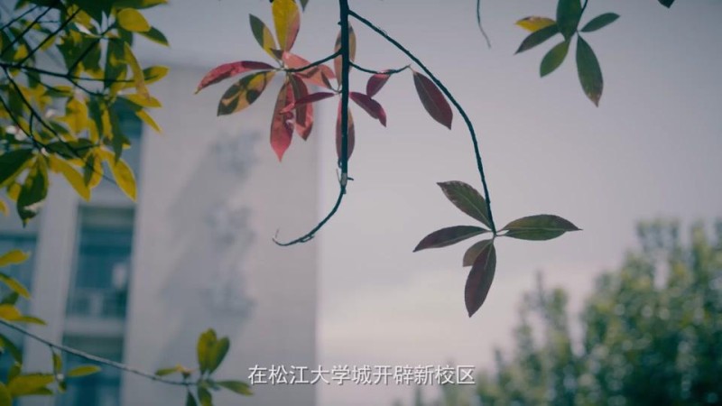 上海对外经贸大学_主图