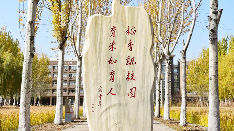 沈阳建筑大学_主图