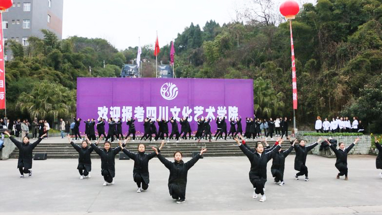 四川文化艺术学院_主图