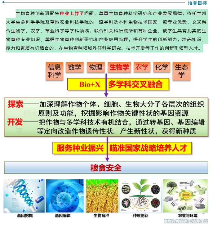core_1760092506_6804.png