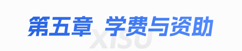 core_1781079412_3579.png