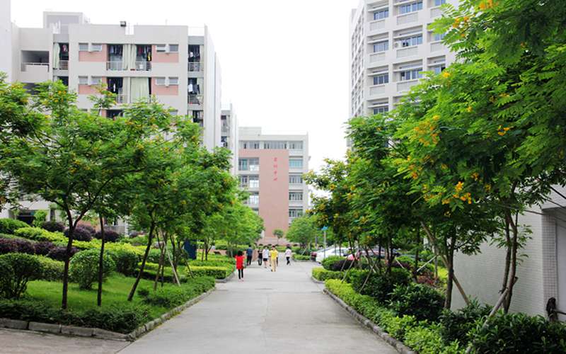 上海哪些大学有中医康复学专业_2025年更新