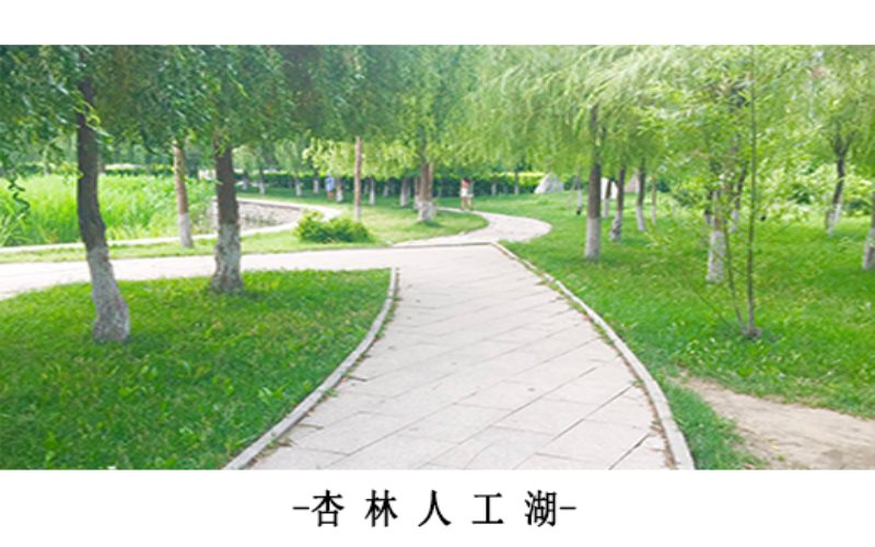 2025年辽宁中医药大学杏林学院在河南最低录取分数线：474分主图