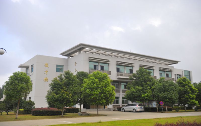 广东哪些大学有跨境电子商务专业_2025年更新