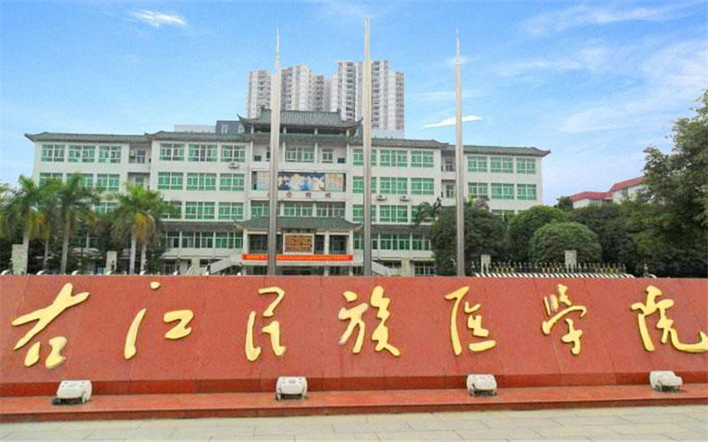 右江民族医学院各专业在福建录取分数线_2025年更新主图