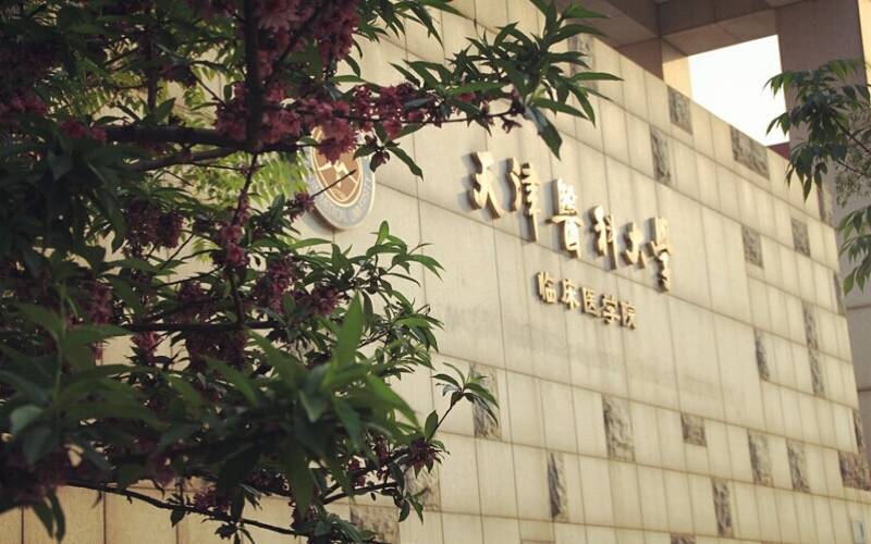 广东开设经济与金融专业的大学排名_2025年更新