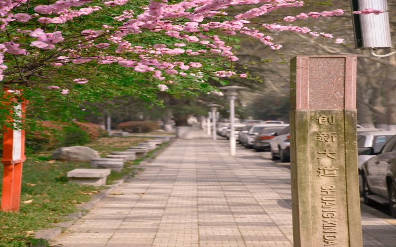 西安建筑科技大学-13