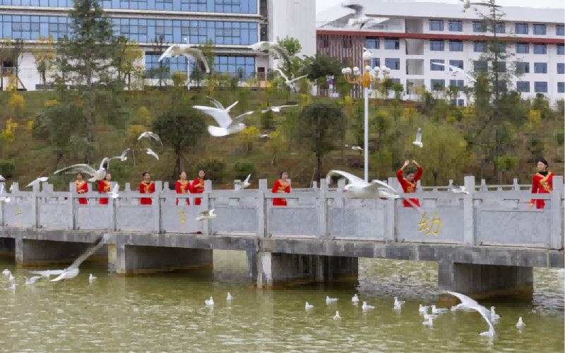 毕节幼儿师范高等专科学校-校园一角