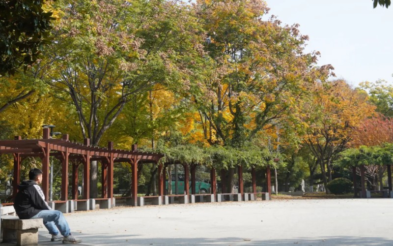 山东农业大学校园风景