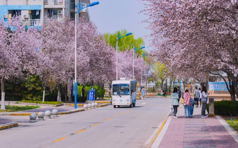 长安大学校园风景