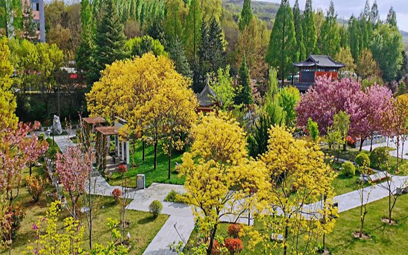 甘肃农业职业技术学院校园风景