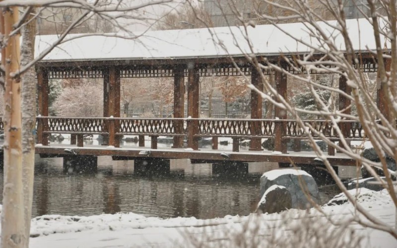 长白山职业技术学院- 5