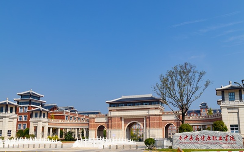 长沙医药健康职业学院-校门石