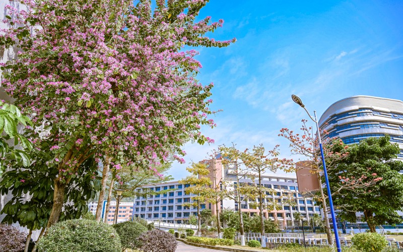 惠州工程职业学院- 7