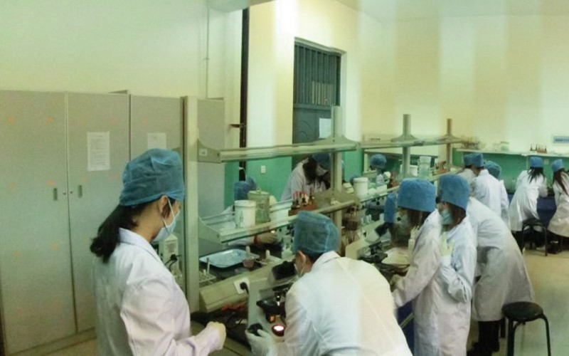 东北农业大学校园环境