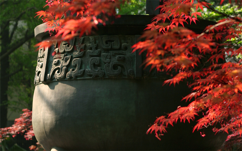 南京大学- 11