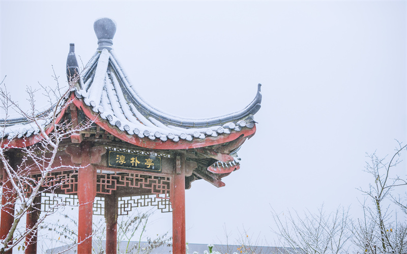 南京大学- 15