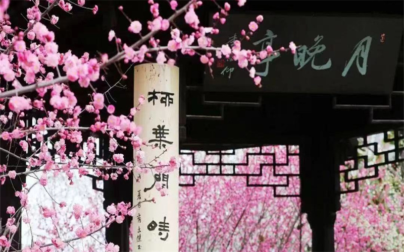 南京大学- 45
