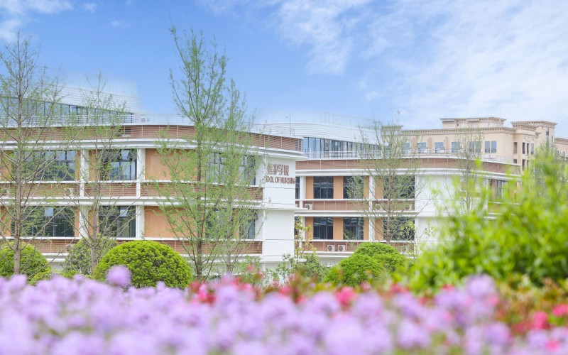 宜宾医药健康职业学院-25