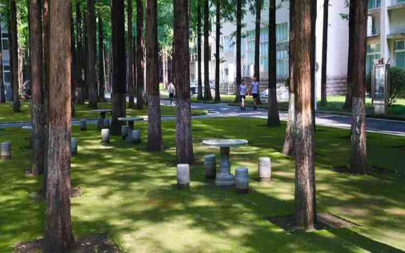 江苏农林类大学排名_2025年更新