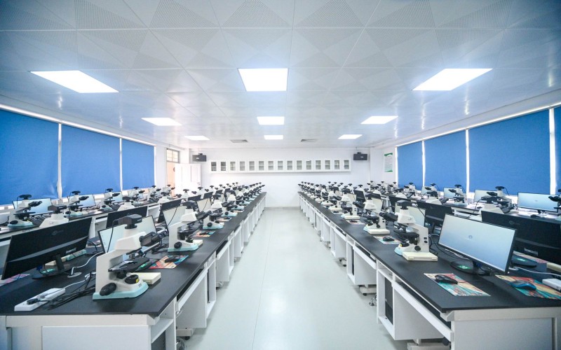 2025年江苏历史类266分能报什么大学