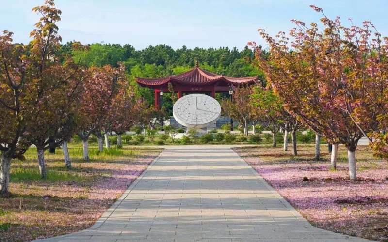 辽宁对外经贸学院-校园风光2