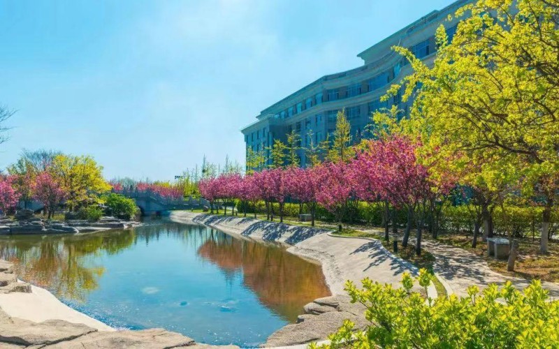 辽宁对外经贸学院-15
