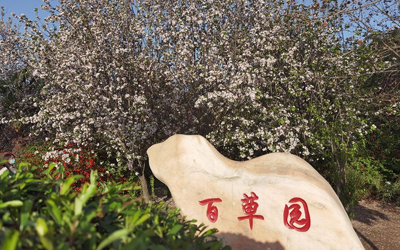 河南科技职业大学-2