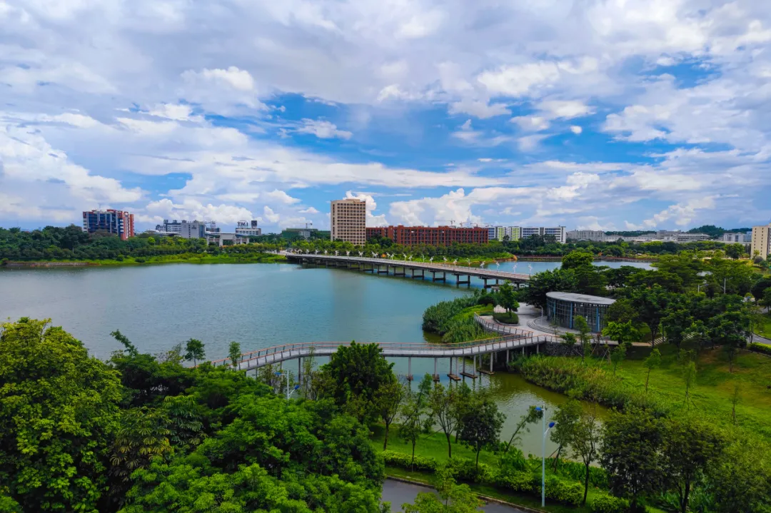 图片</div></body></html>