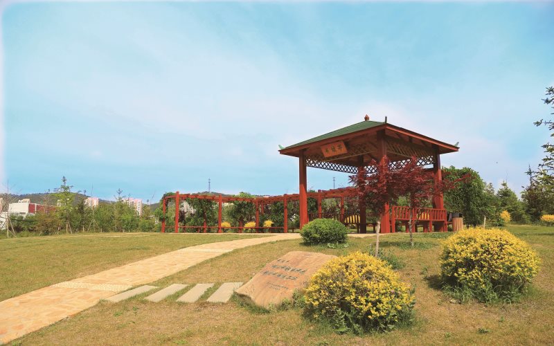 辽宁师范大学 gallery image 3