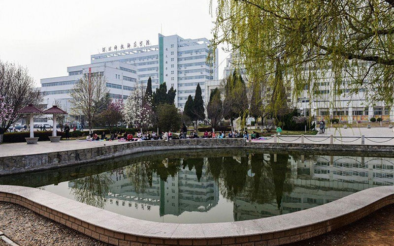 河北科技师范学院 gallery image 2