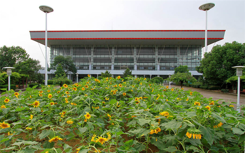 宁波财经学院 gallery image 2
