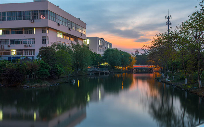 宁波财经学院 gallery image 3