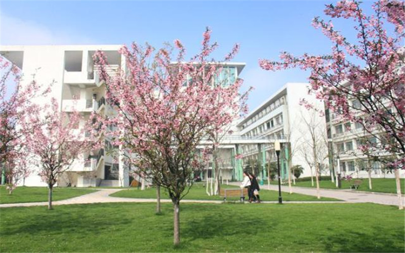 合肥大学 gallery image 3